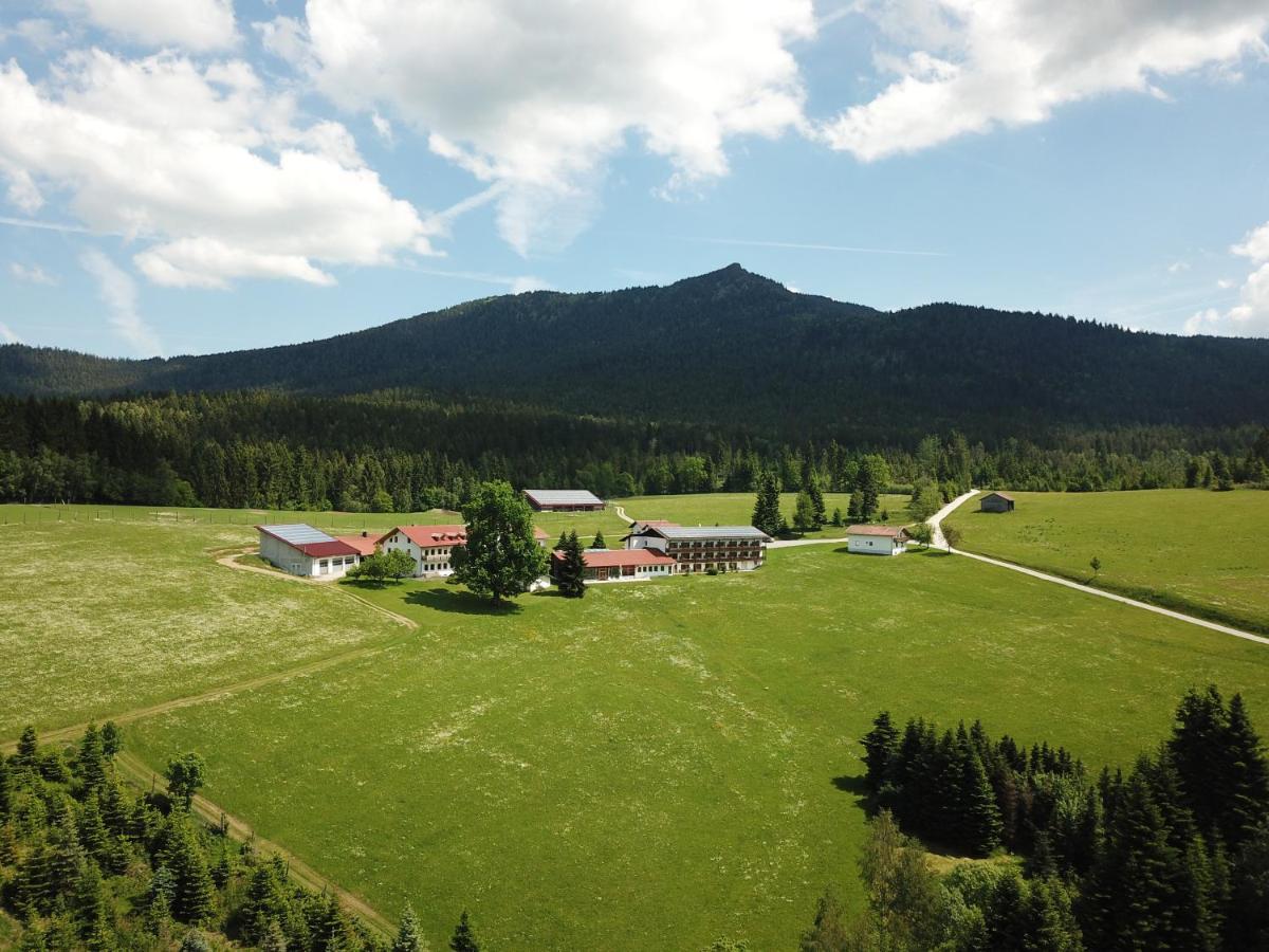 Osserhotel Garni Lohberg Exterior photo