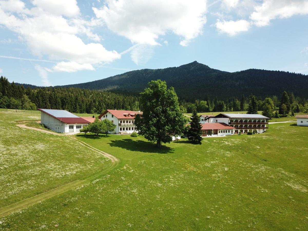 Osserhotel Garni Lohberg Exterior photo