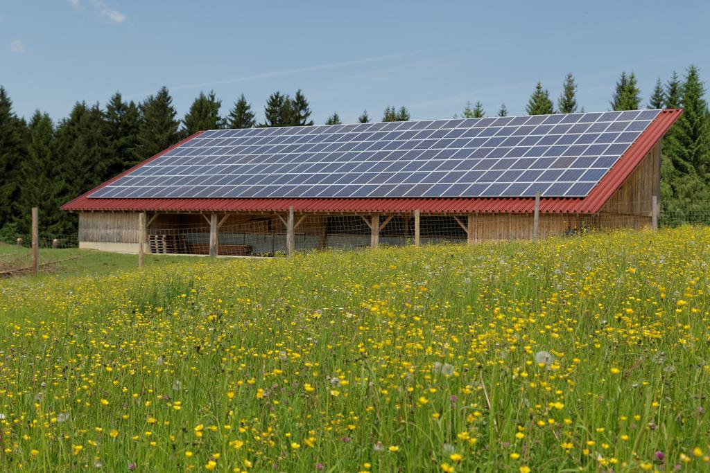 Osserhotel Garni Lohberg Exterior photo